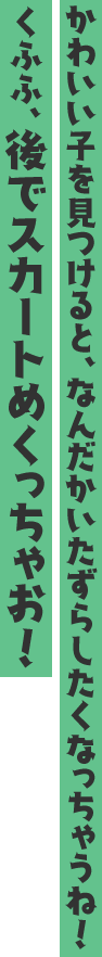 かわいい子を見つけると、なんだかいたずらしたくなっちゃうね! くふふ、後でスカートめくっちゃお!